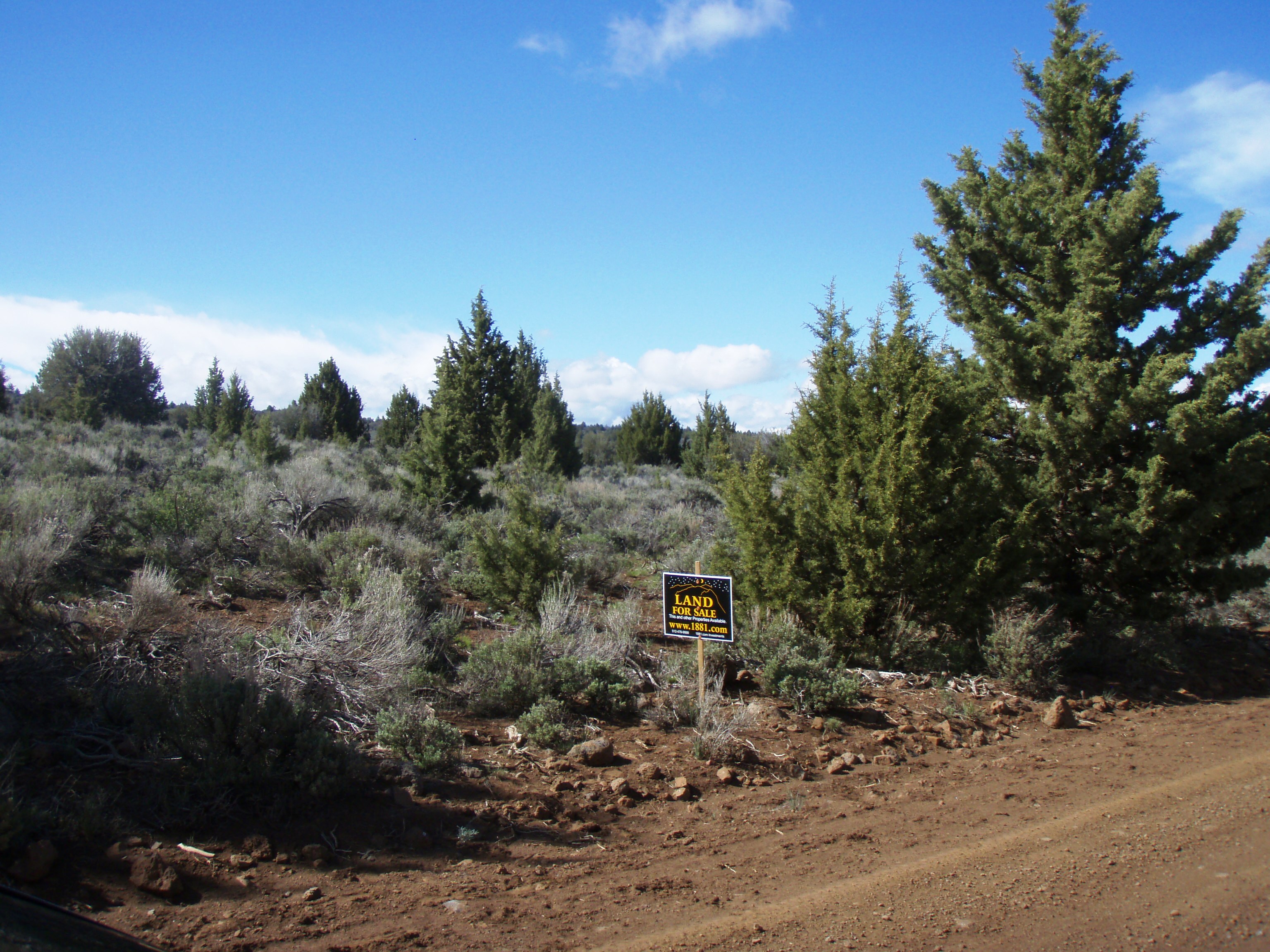 California land for Sale Eagle lake area